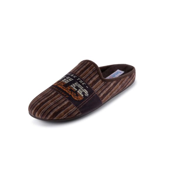 CHAUSSON HOMME EN TEXTILE  5556721 Chaussons Homme